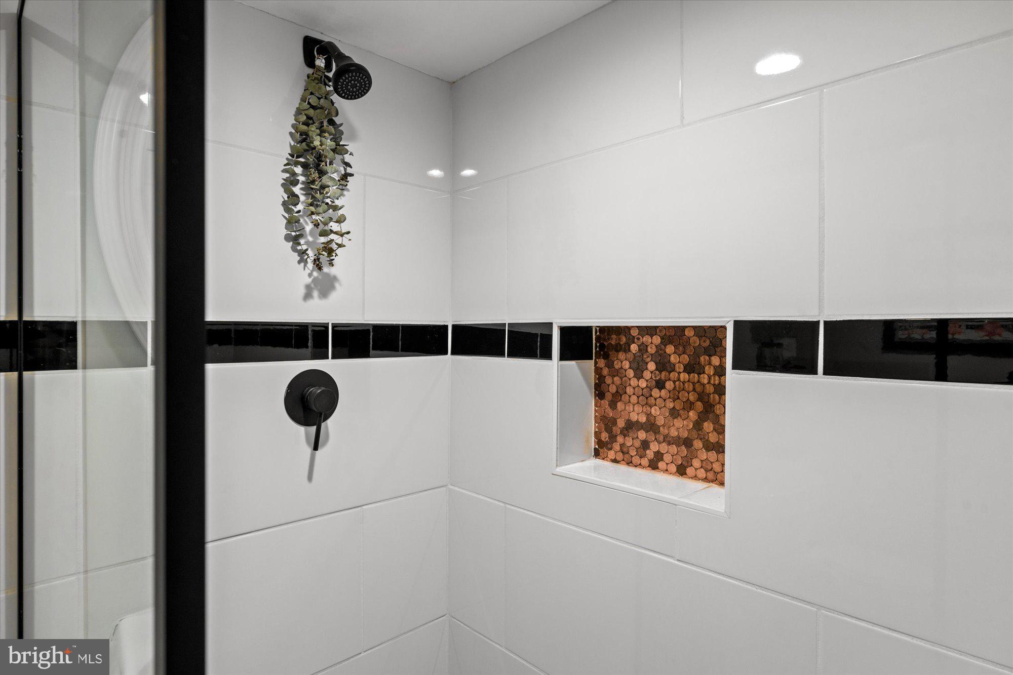 1204 5th Street Northeast Washington, DC 20002 - Photo 35 of 46 close up of a shower