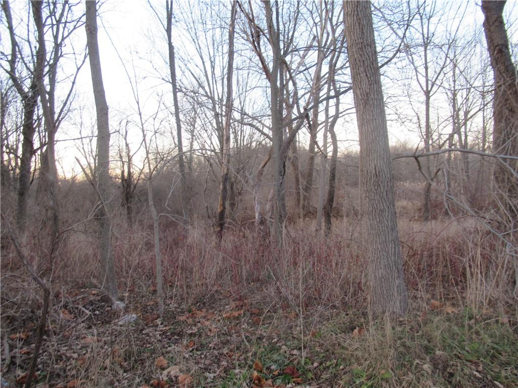 a view of mountain covered with trees