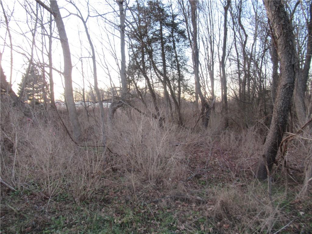 94 South State Route Warwick, NY 10990 - Photo 4 of 4 a view of forest