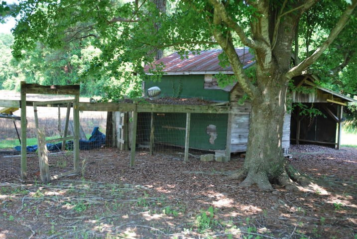 651 Middle Road Trenton, NC 28585 - Photo 5 of 28 Gallery Image 5