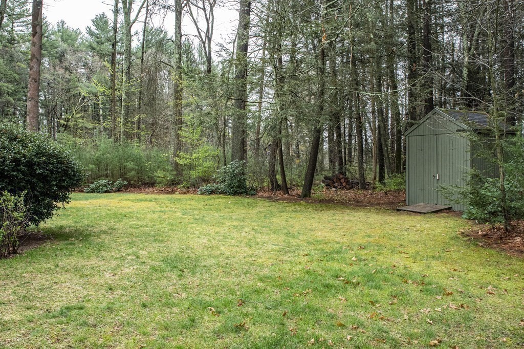 44 Parkerville Road Chelmsford, MA 01824 - Photo 18 of 27 Gallery Image 18