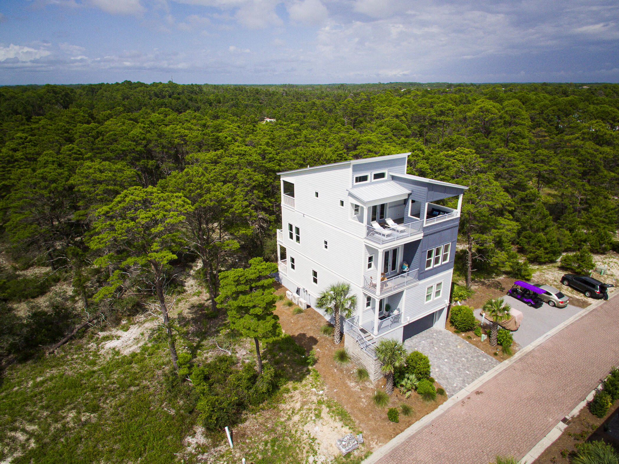 31 Conscience Way Santa Rosa Beach, FL 32459 - Photo 63 of 70 aerial view of a house with a big yard