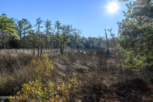 $385,000 | 107 Bayview Drive, Merritt, NC 28556