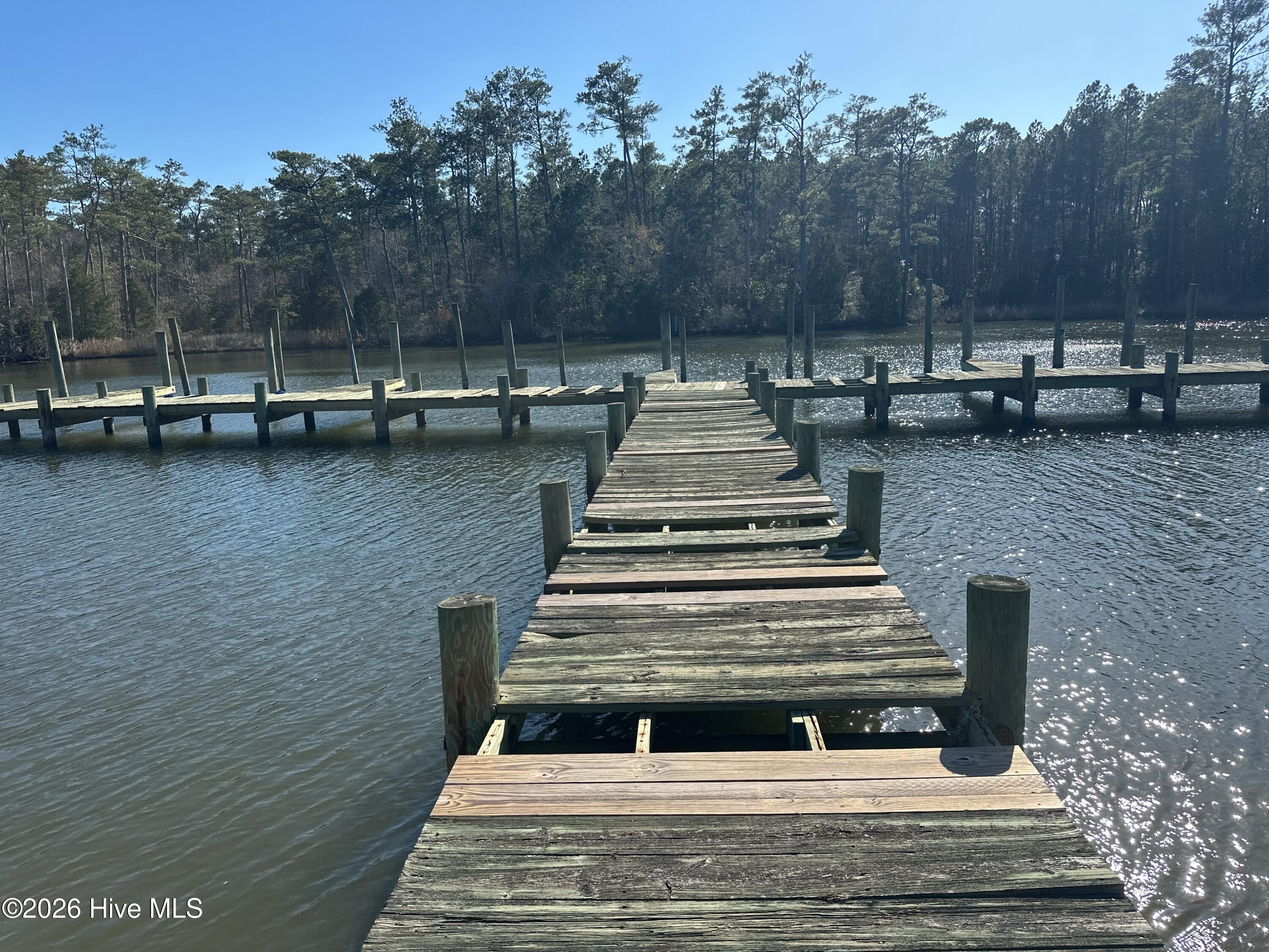 107 Bayview Drive Merritt, NC 28556 - Photo 67 of 68 Community Dock