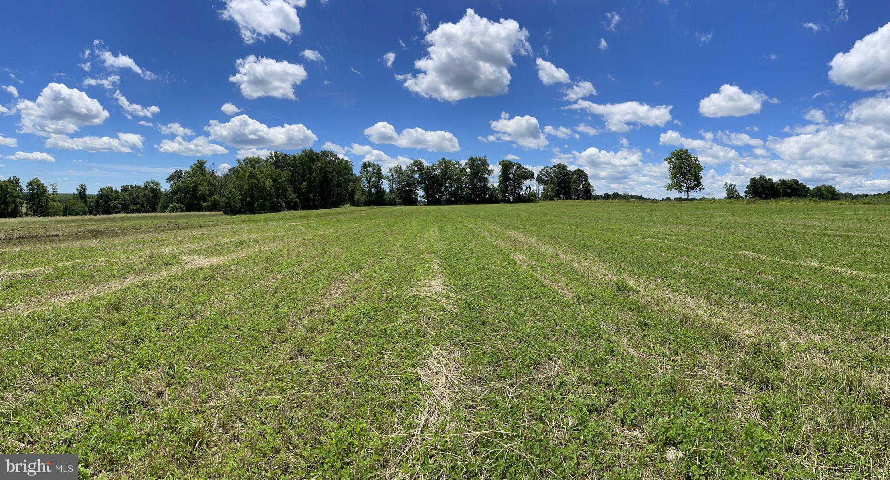 Lot 1 Curly Hill Road Doylestown, PA 18902 - Photo 25 of 40
