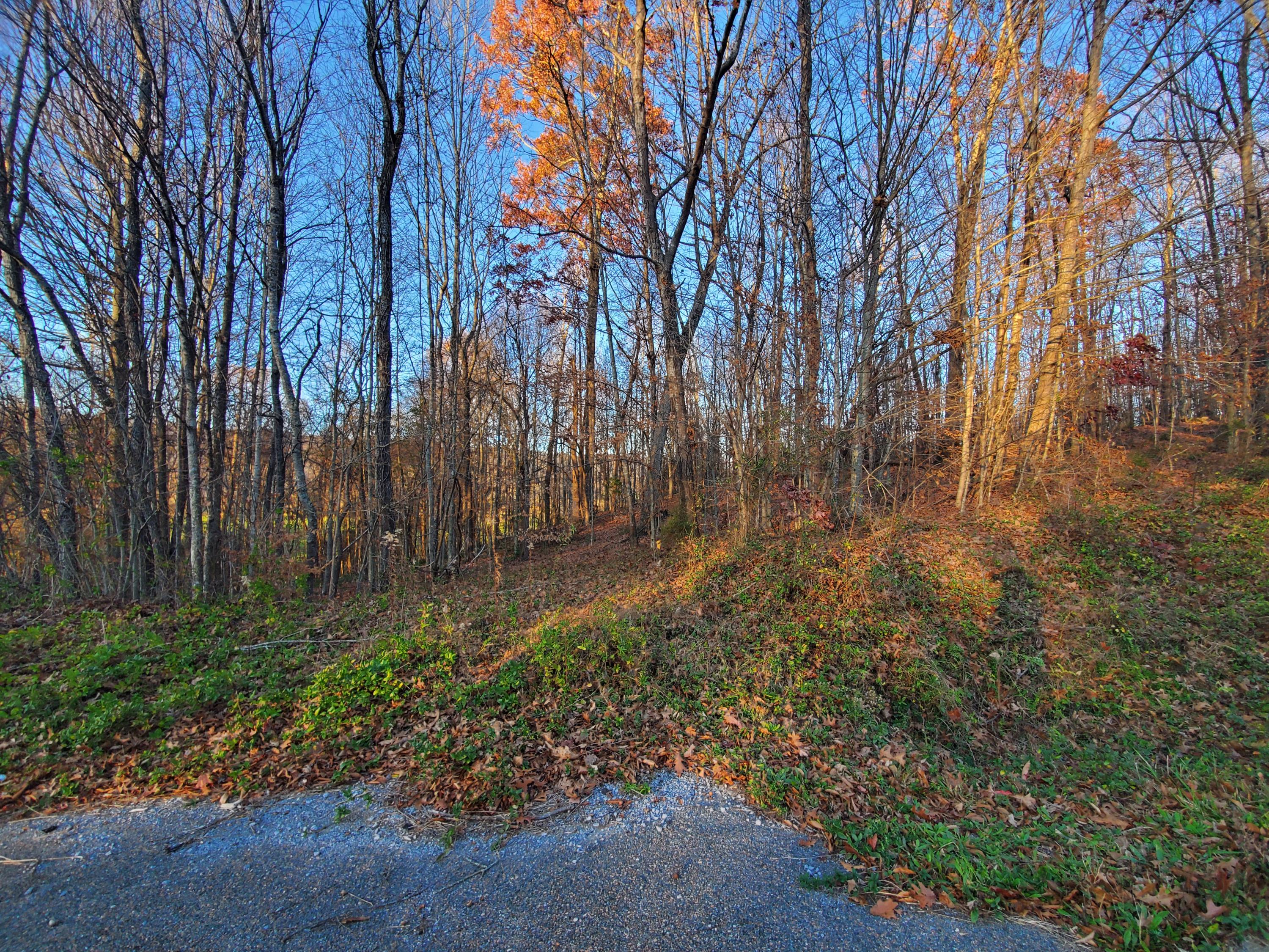 Beech Springs Road Jonesville, VA 24263 - Photo 1 of 7 20201117_164507