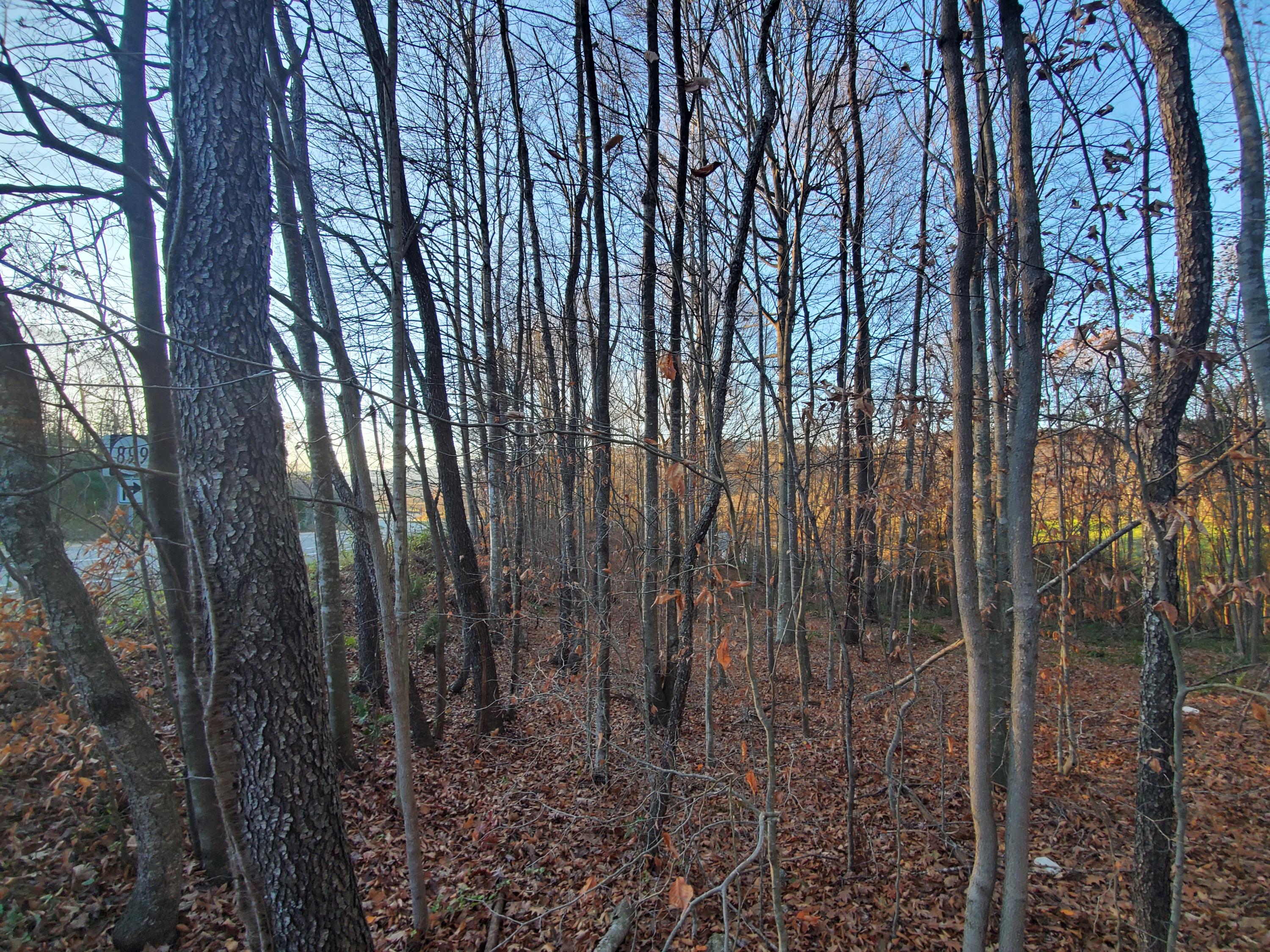 Beech Springs Road Jonesville, VA 24263 - Photo 2 of 7 20201117_164539