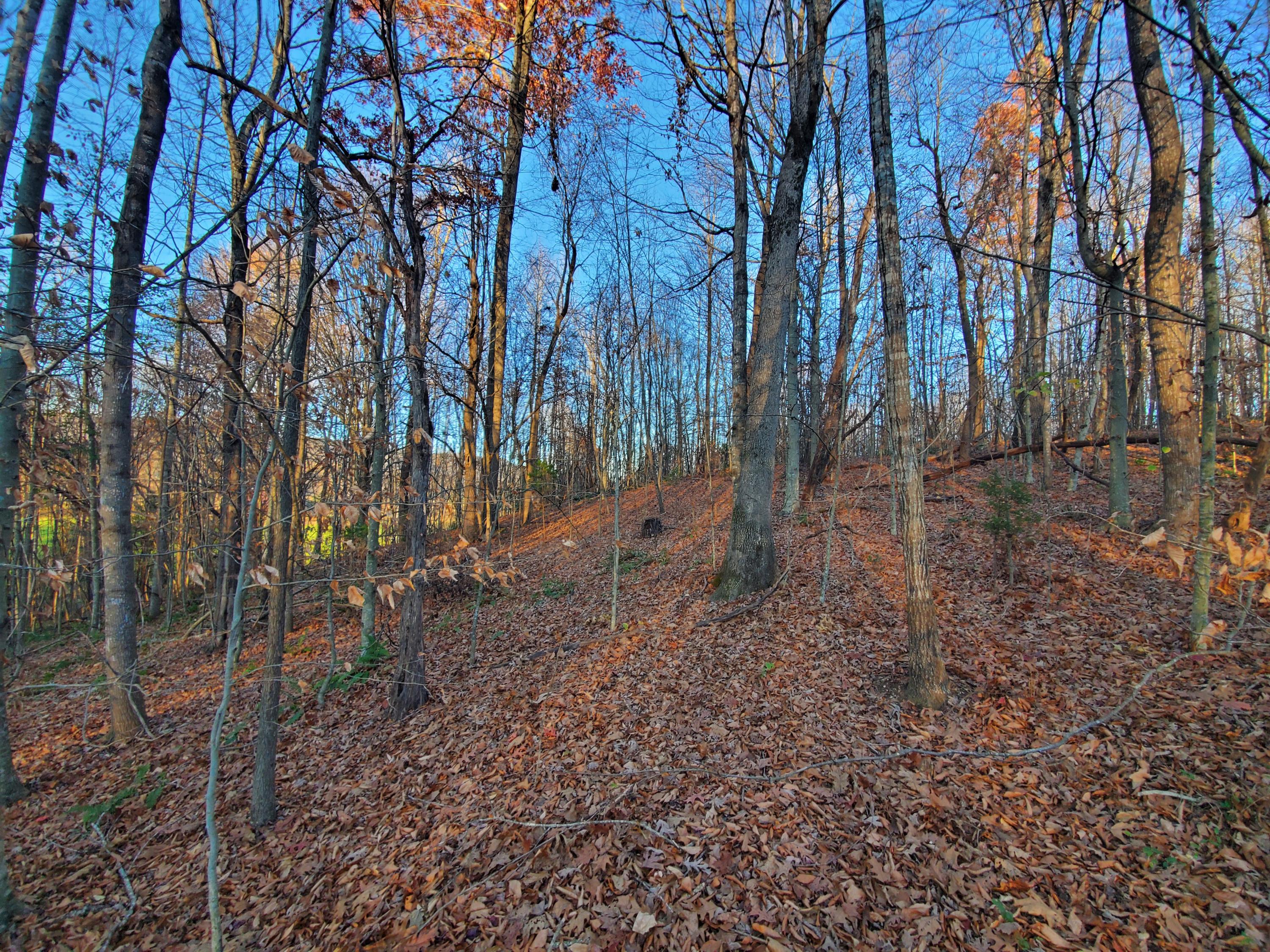 Beech Springs Road Jonesville, VA 24263 - Photo 3 of 7 20201117_164532