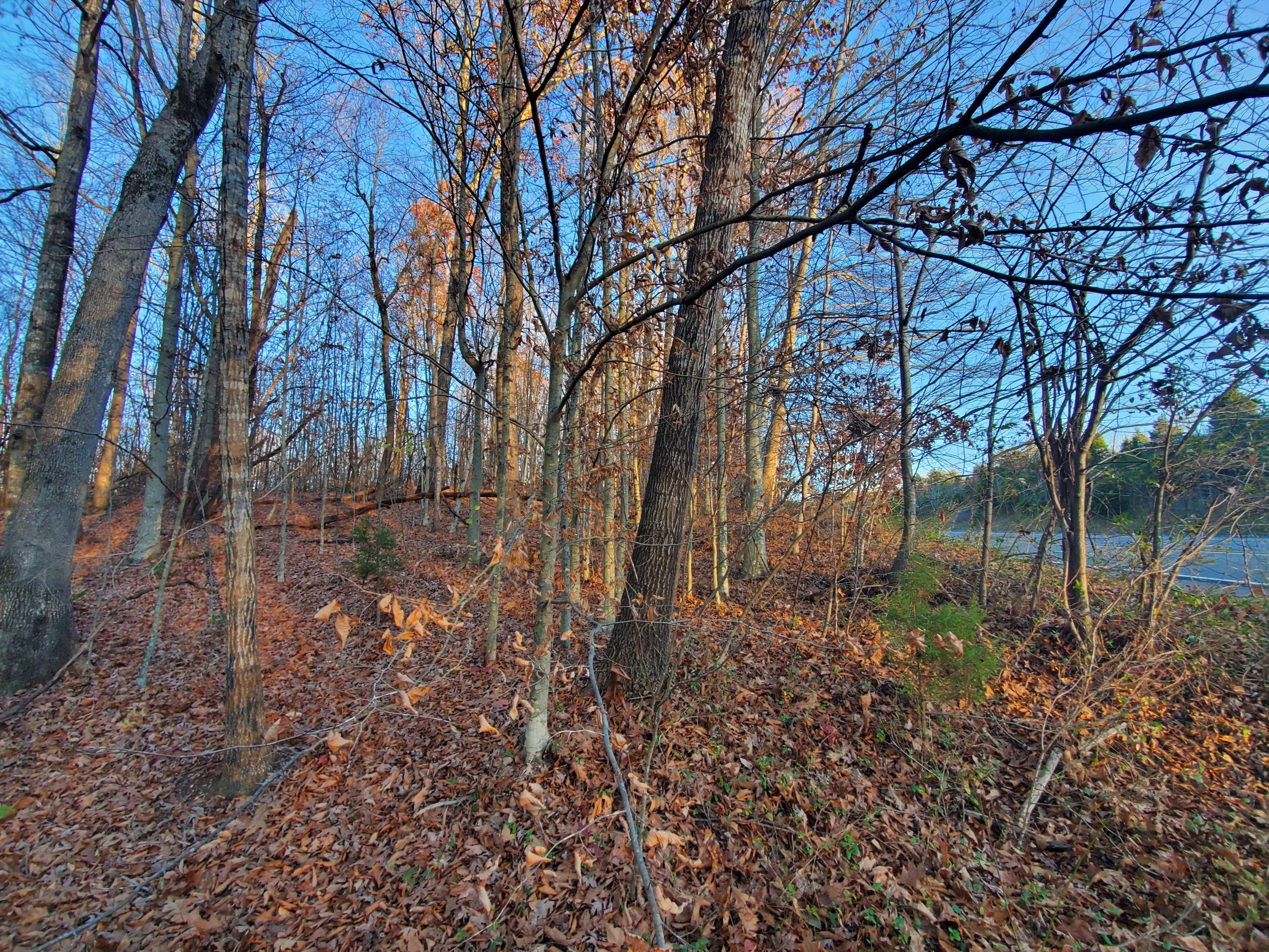 Beech Springs Road Jonesville, VA 24263 - Photo 4 of 7 20201117_164536