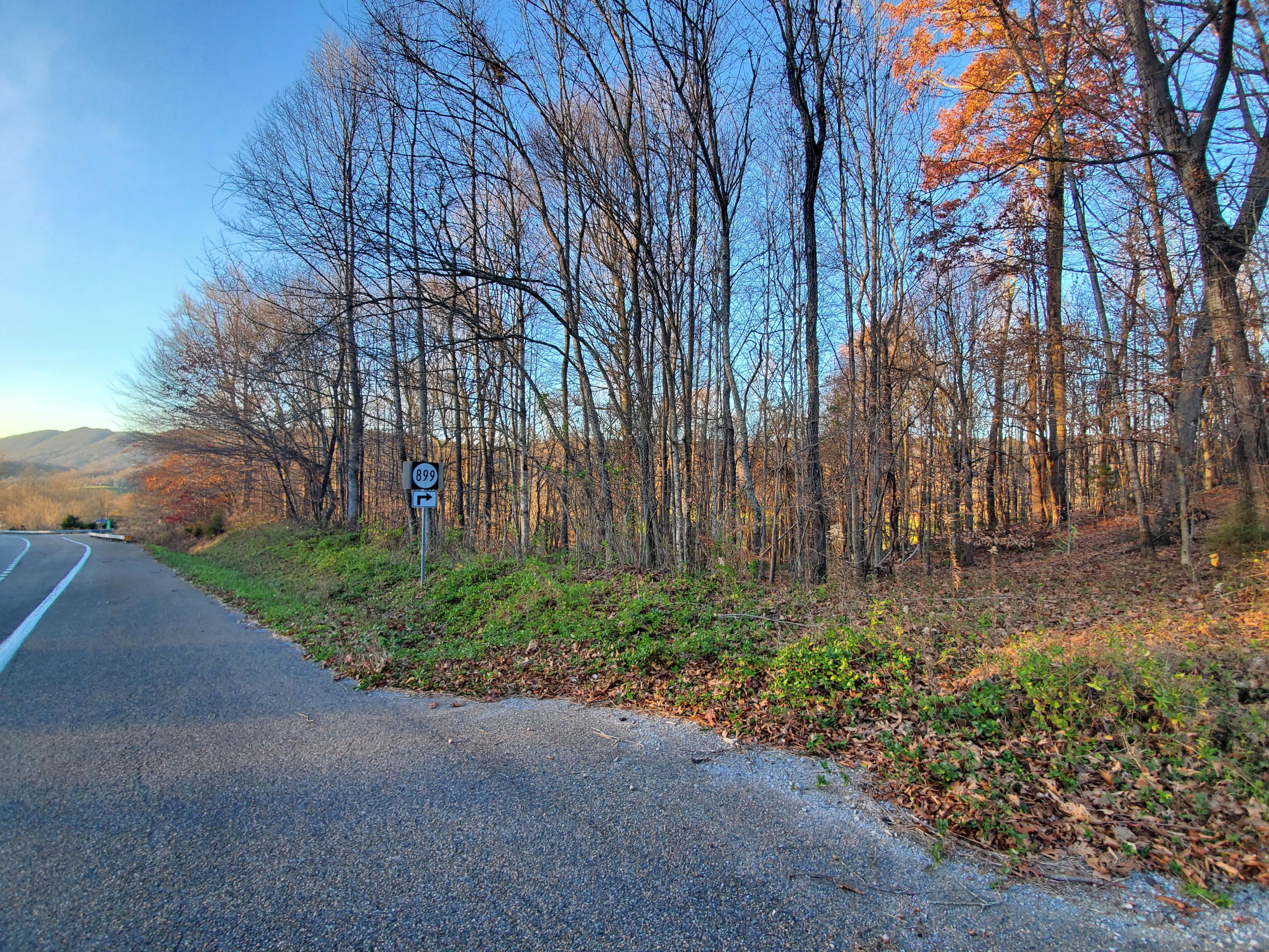 Beech Springs Road Jonesville, VA 24263 - Photo 5 of 7 20201117_164510