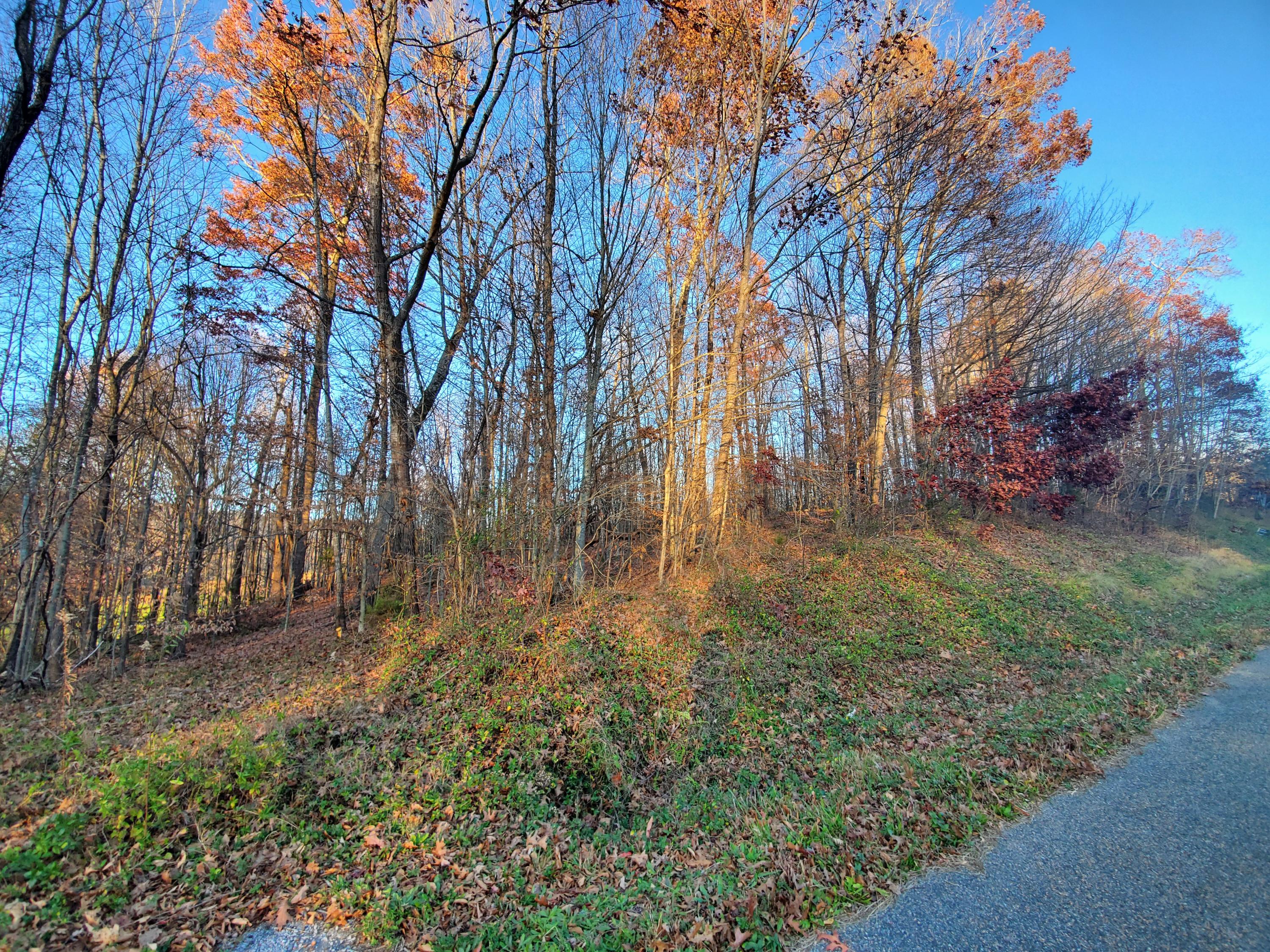 Beech Springs Road Jonesville, VA 24263 - Photo 6 of 7 20201117_164513