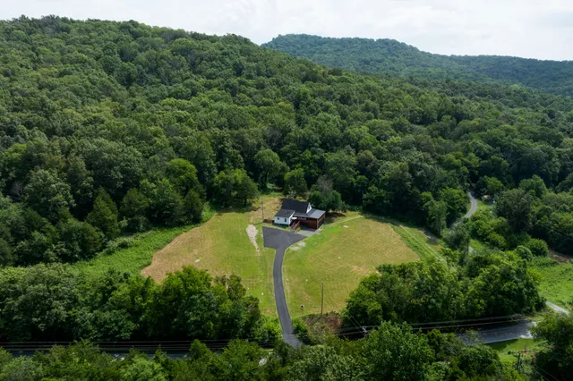 a view of a field with a tree