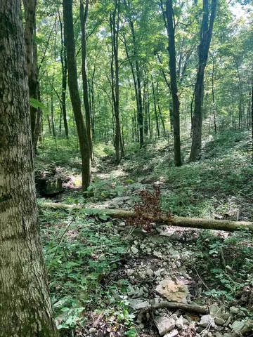 a view of outdoor space and green space