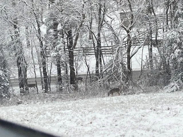 a view of a outdoor space