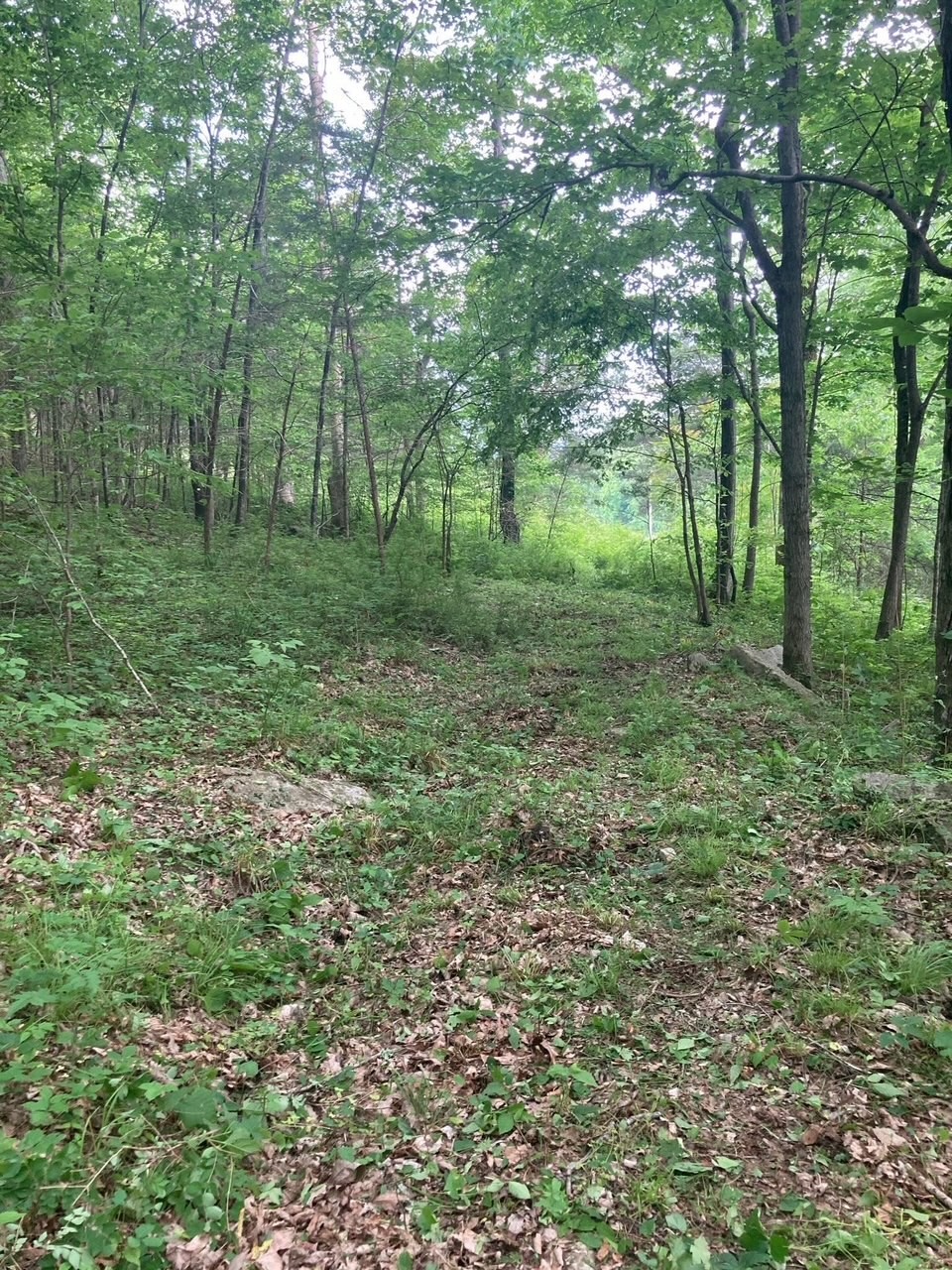 3203 Statesville Road Watertown, TN 37184 - Photo 47 of 56 a view of outdoor space and green space