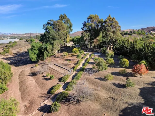 a view of some trees in a forest