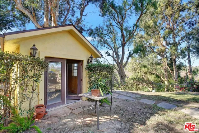 a view of a yard with plants and large trees