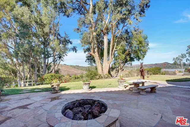 a view of a forest with a tree