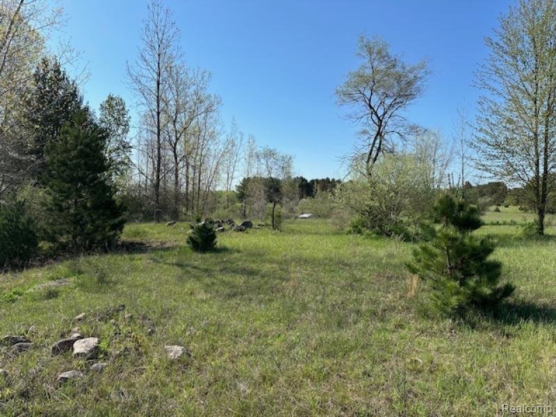 -parcel B Ambrose Road Mayville, MI 48744 - Photo 9 of 18 Gallery Image 9