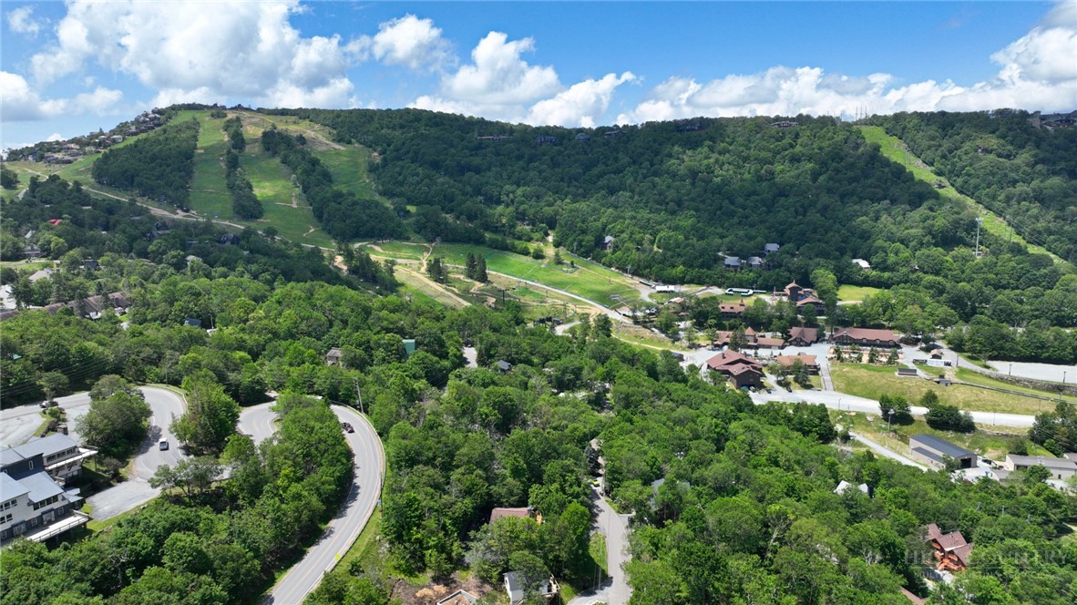 104 Hornbeam Road Beech Mountain, NC 28604 - Photo 7 of 40