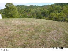 0 Rt 1 Road Petroleum, WV 26161 - Photo 5 of 5 grounds