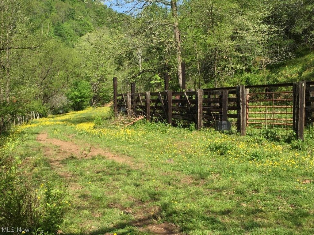 1898 Tariff Road Left Hand, WV 25251 - Photo 10 of 23