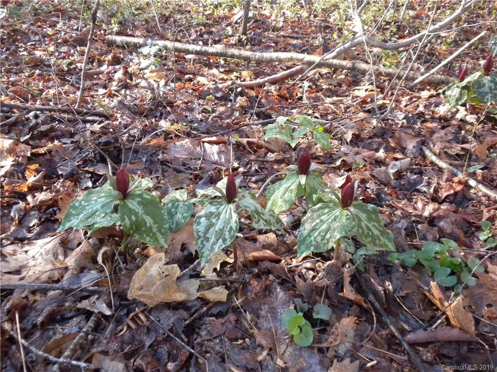 32 Hebron Hill Road Old Fort, NC 28762 - Photo 22 of 29 Gallery Image 22