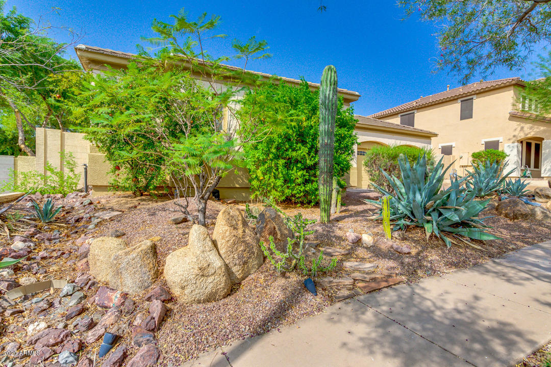 2630 West Trapanotto Road Phoenix, AZ 85086 - Photo 3 of 48 03-Trapanotto