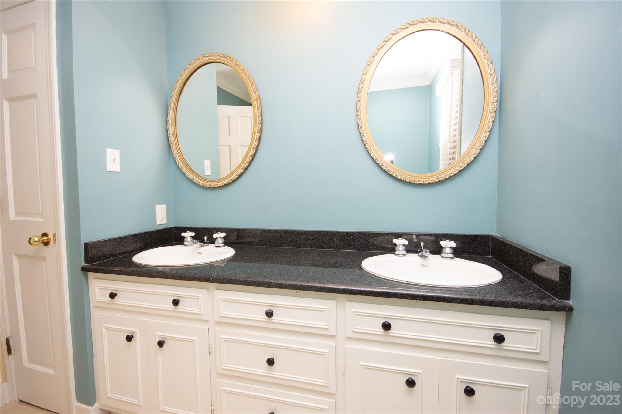 321 St Andrews Road Statesville, NC 28625 - Photo 17 of 19 a bathroom with a sink and a mirror