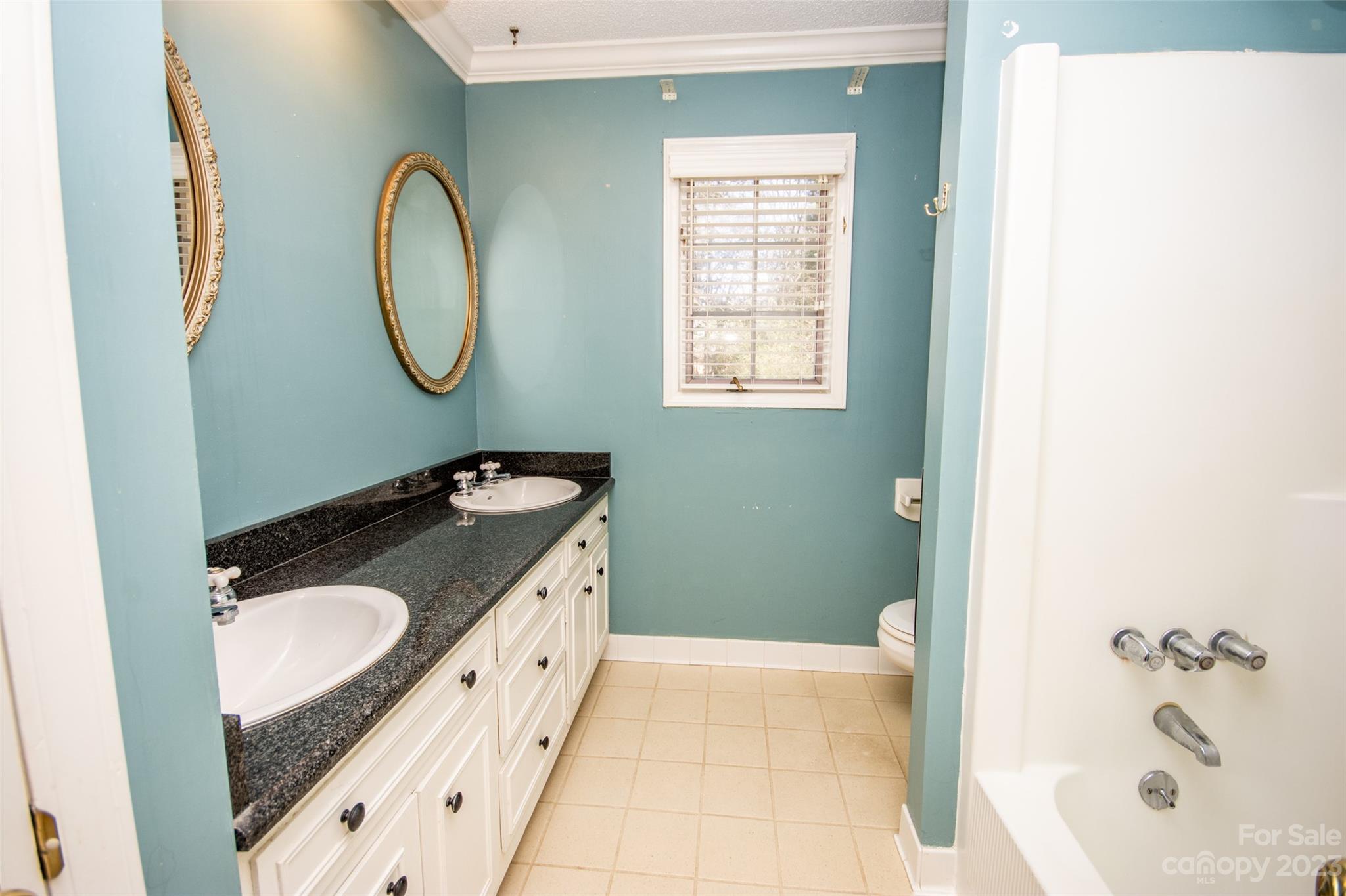 321 St Andrews Road Statesville, NC 28625 - Photo 10 of 19 a bathroom with a granite countertop sink and a mirror