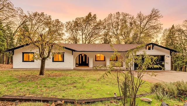 a living room with furniture a fireplace and potted plants with wooden floor