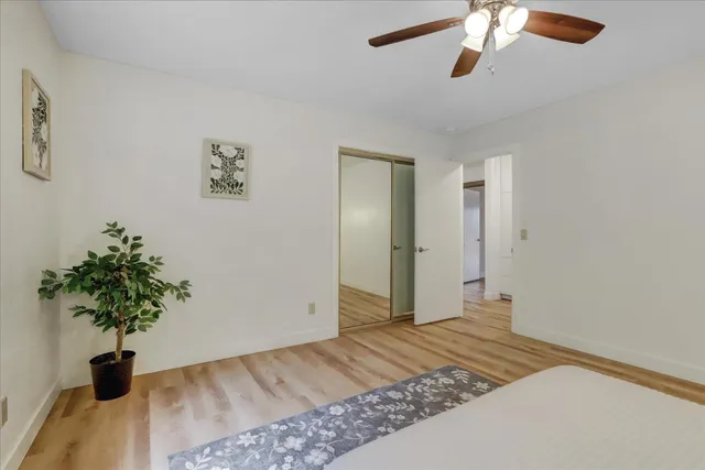 a view of a yard with plants and trees