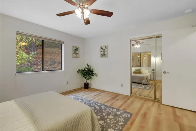 a view of a backyard with large trees