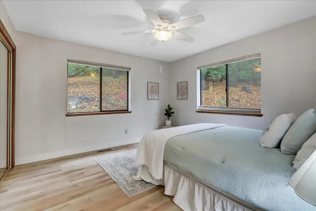 a view of a backyard with large trees