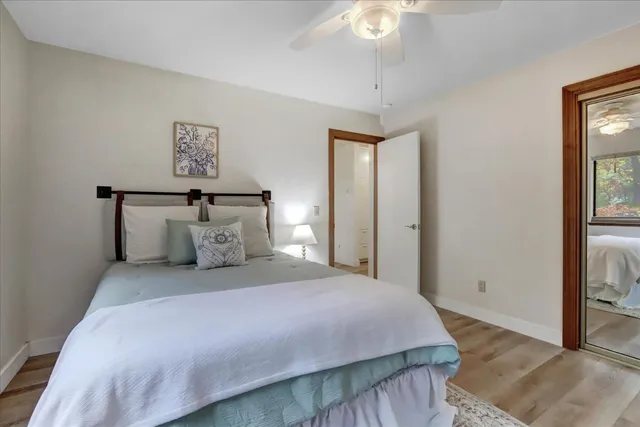 a view of a yard with a tree