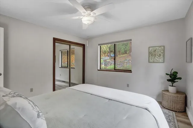 a view of a forest with trees