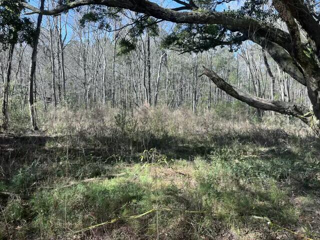 5753 Parkers Ferry Road Adams Run, SC 29426 - Photo 1 of 5 tempImageN3nuDl