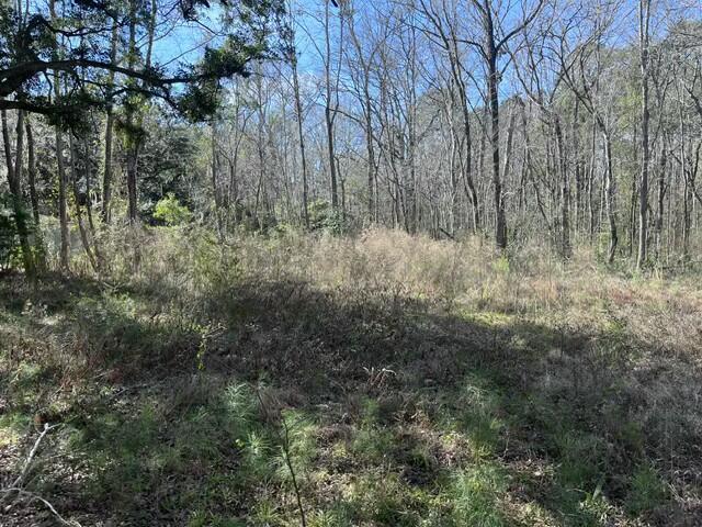 5753 Parkers Ferry Road Adams Run, SC 29426 - Photo 2 of 5 tempImageJzTi7J