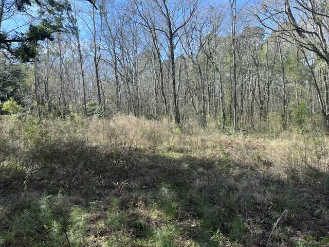 5753 Parkers Ferry Road Adams Run, SC 29426 - Photo 3 of 5 tempImageoX7kWw
