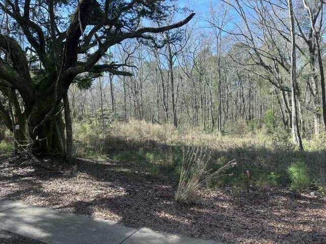 5753 Parkers Ferry Road Adams Run, SC 29426 - Photo 4 of 5 tempImageQrdnMX