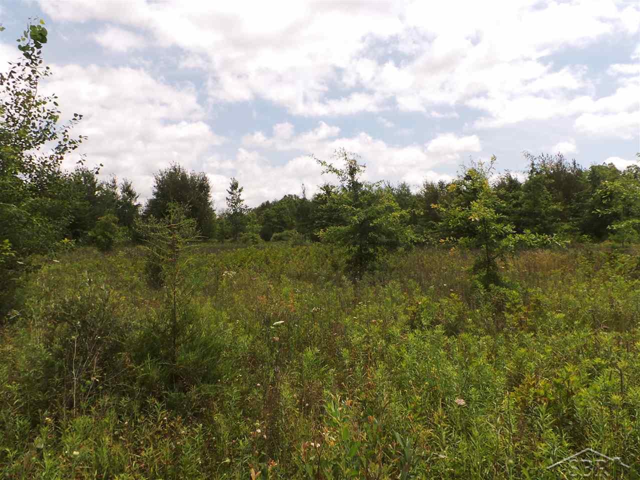 South Fowler Road Henderson, MI 48841 - Photo 6 of 8 31326075-5.JPG