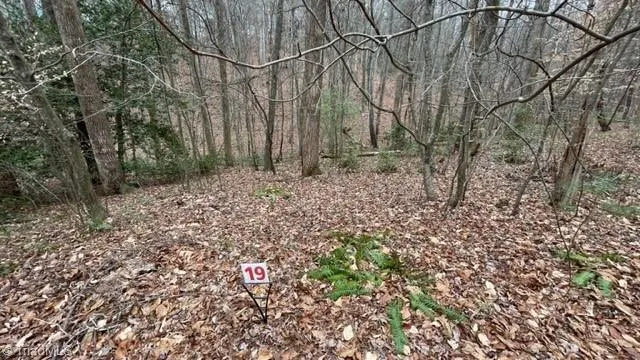 $19,999 | Lot 19 Woods Haven Lane, Stuart, VA 24171
