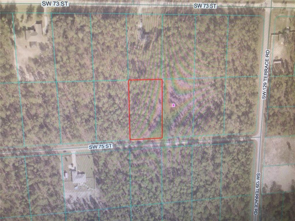 0 Southwest 75th Street Ocala, FL 34480 - Photo 3 of 5