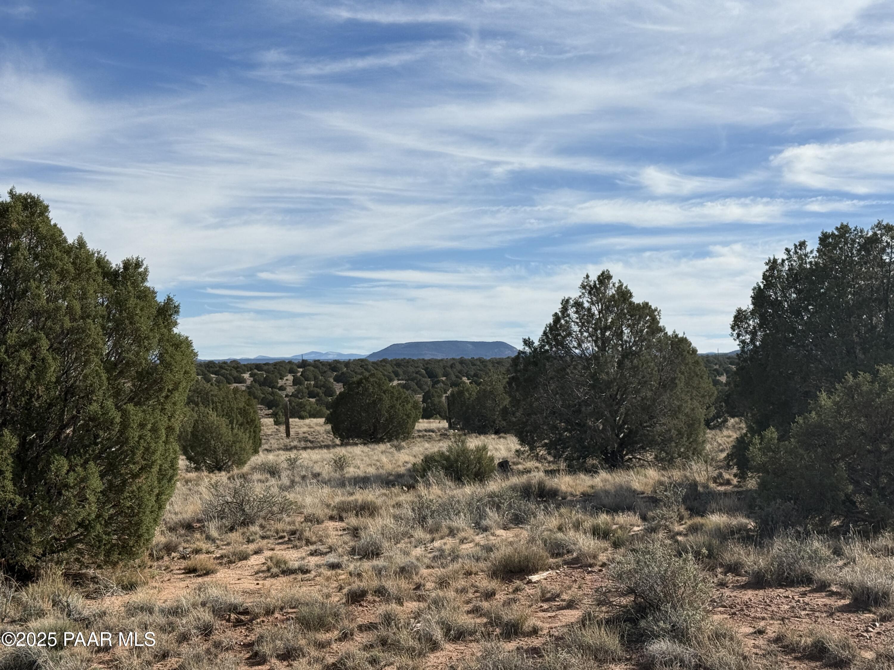 Lot 4 Ranch Of The White Mountains Snowflake, AZ 85937 - Photo 1 of 9 a view of a dry yard with wooden fence