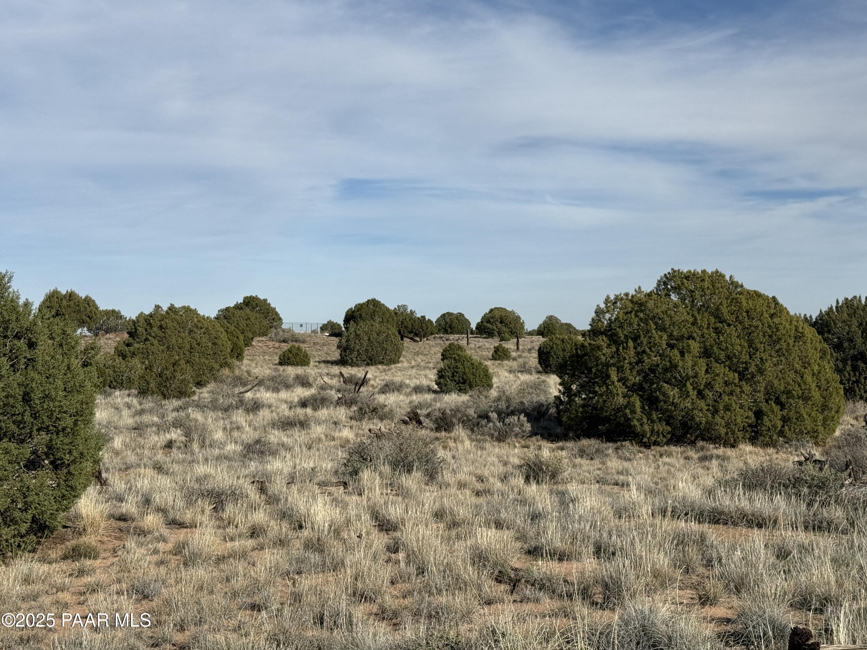 Lot 4 Ranch Of The White Mountains Snowflake, AZ 85937 - Photo 3 of 9 a view of a building