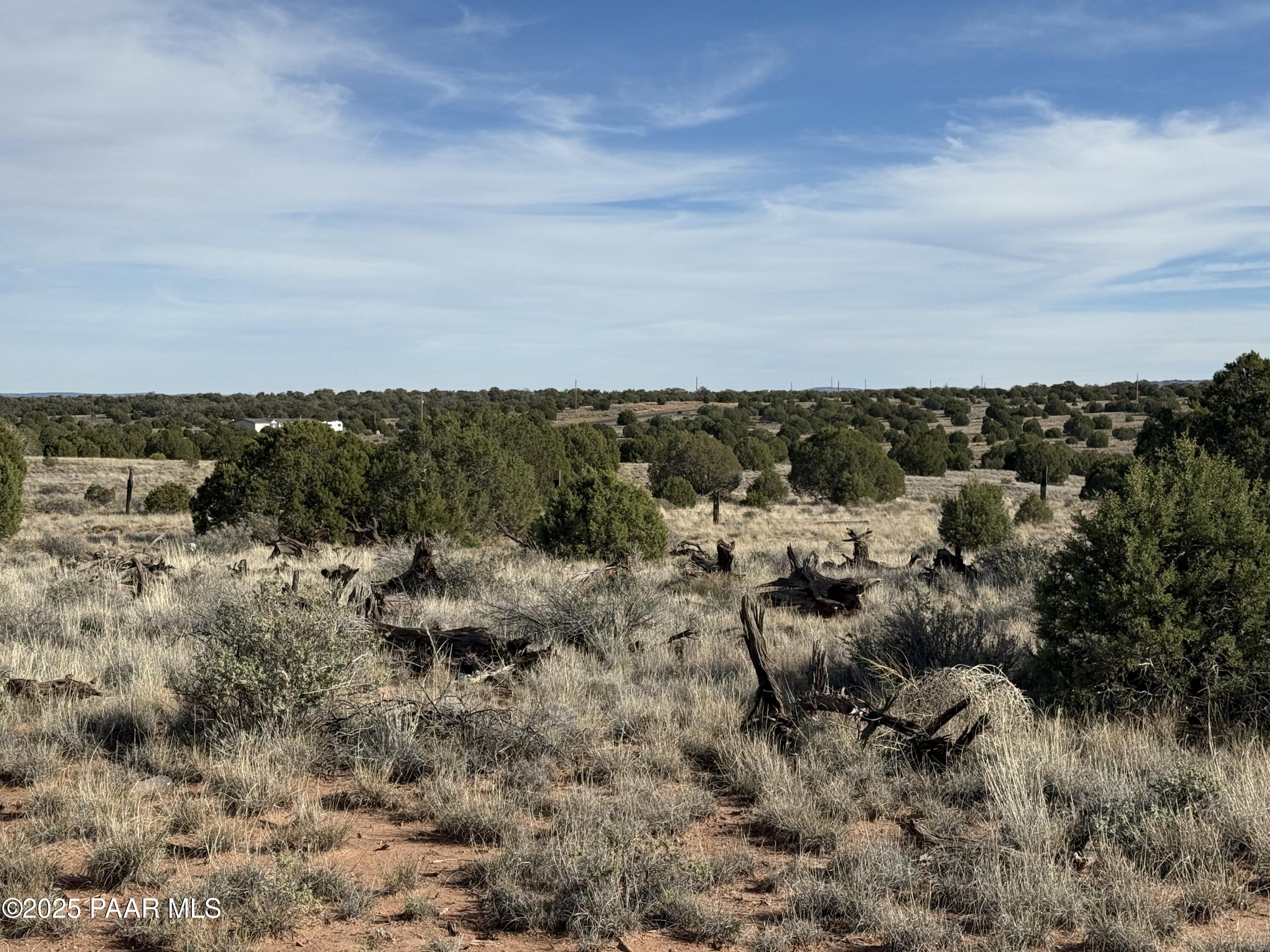 Lot 4 Ranch Of The White Mountains Snowflake, AZ 85937 - Photo 4 of 9 a view of a city