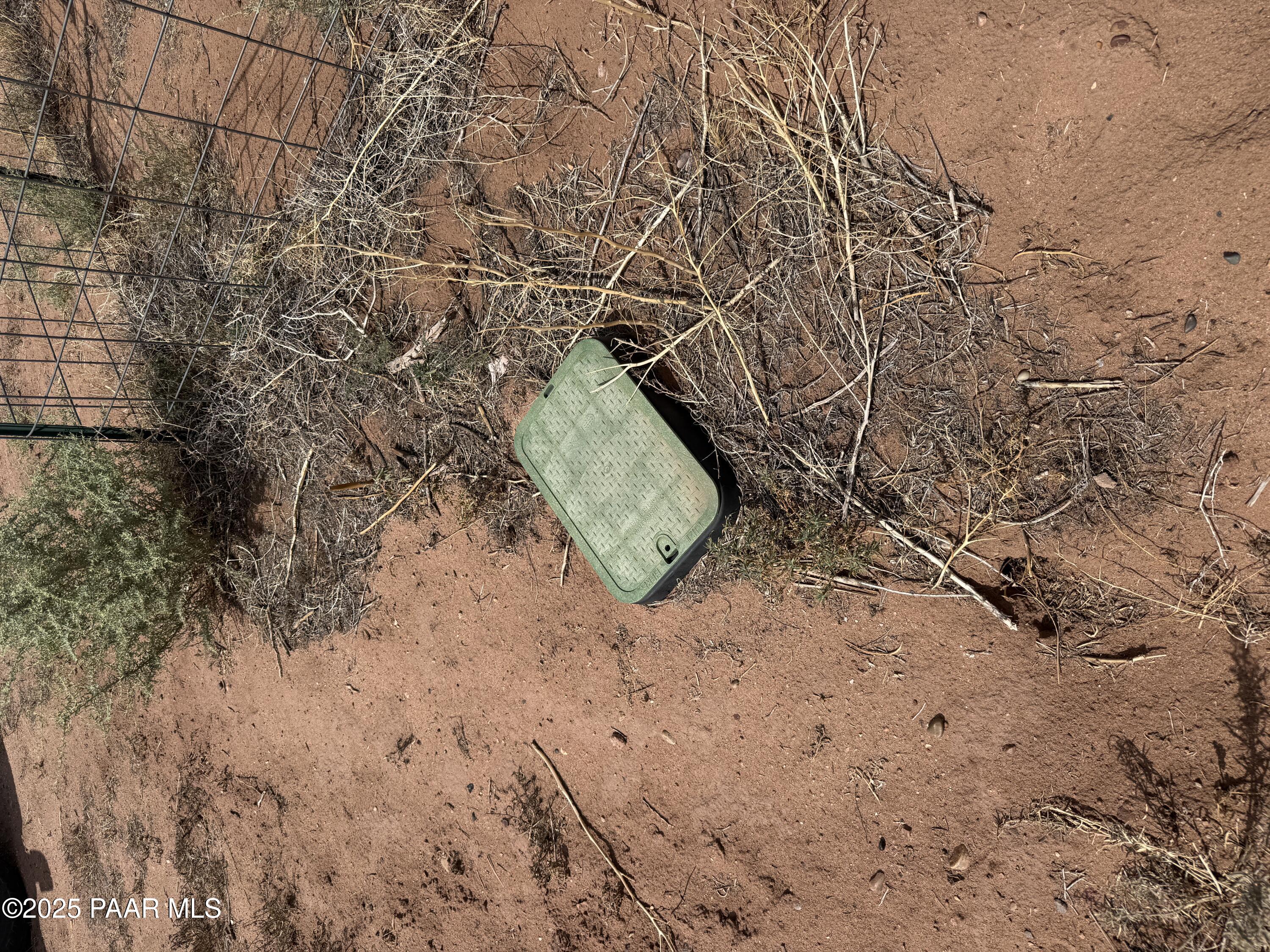 Lot 4 Ranch Of The White Mountains Snowflake, AZ 85937 - Photo 8 of 9 a view of a yard with a tree