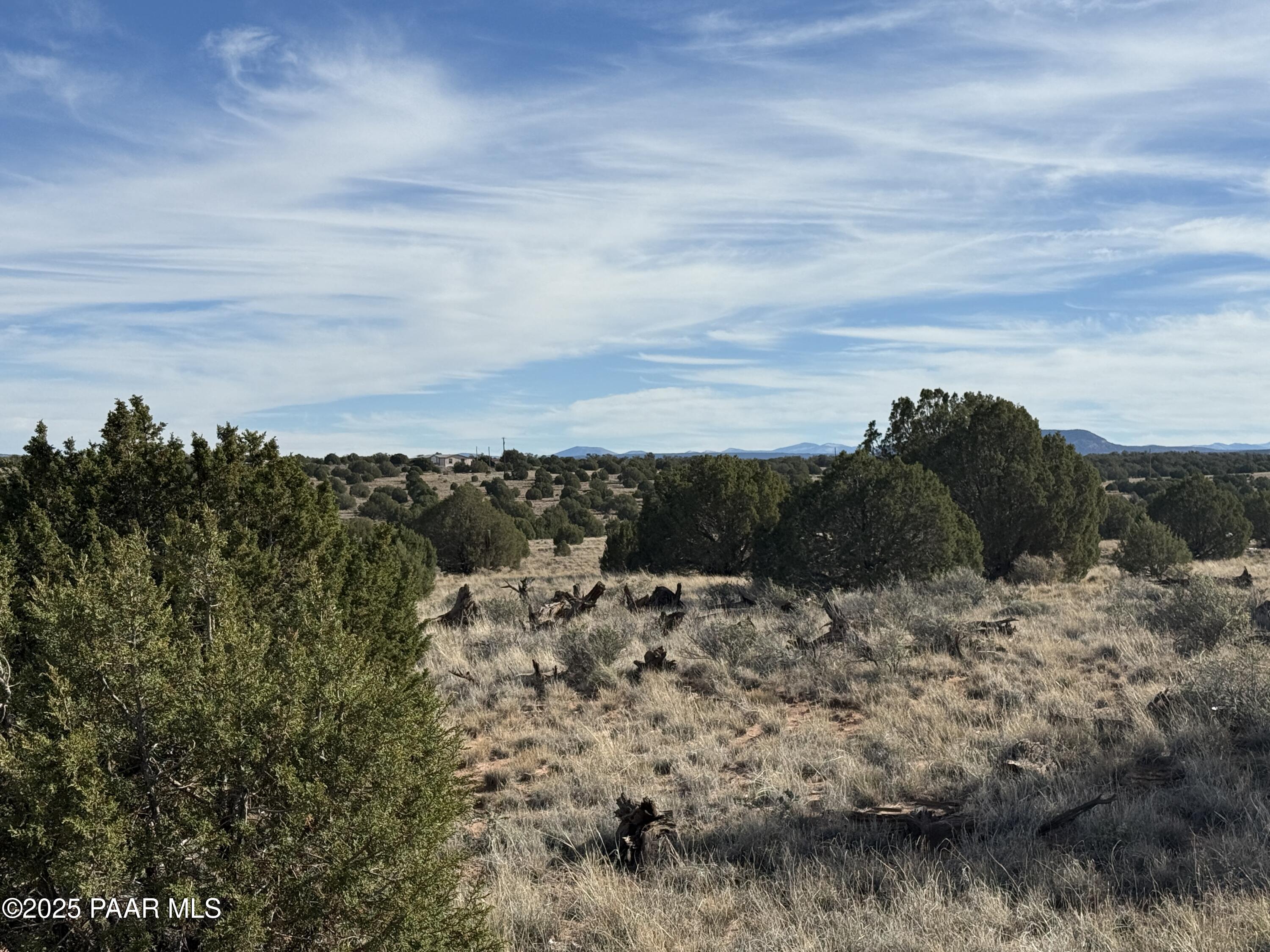 Lot 4 Ranch Of The White Mountains Snowflake, AZ 85937 - Photo 9 of 9
