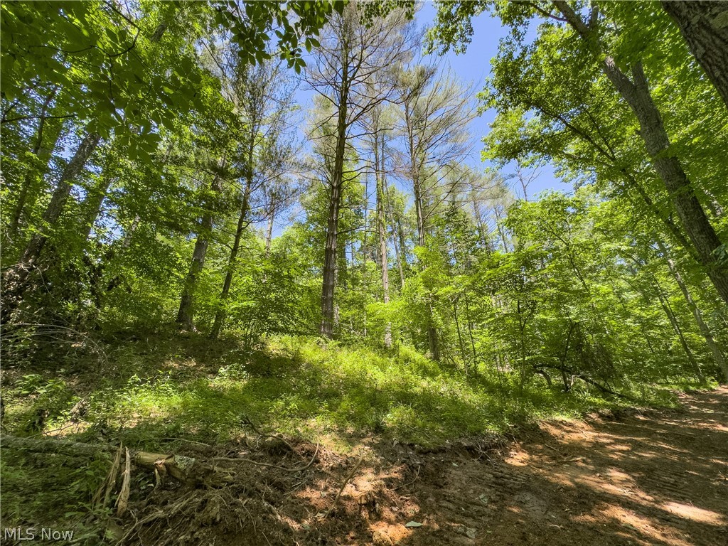 0 Long Hollow Road Pomeroy, OH 45769 - Photo 18 of 31