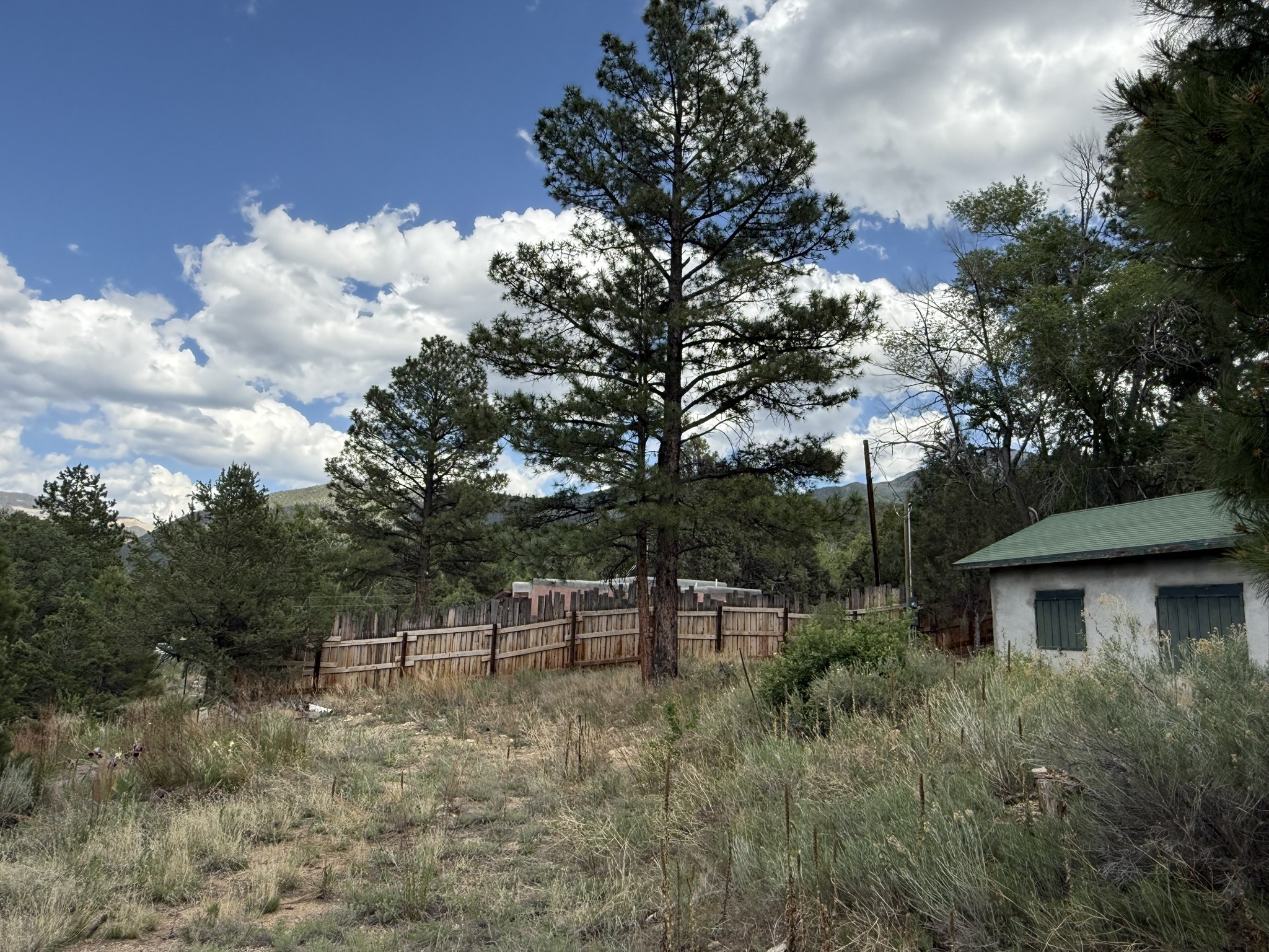 2318 Old Red River Road Questa, NM 87556 - Photo 4 of 36